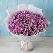 Букет цветов из:  Хризантемы в Первоуральске