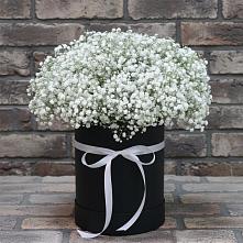 Цветочная композиция из Гипсофила в шляпной коробке #REPLACE_PRED# Первоуральске